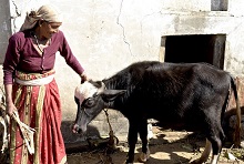 Kumaoni lady at her home